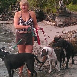 Meet your Posher, Norma